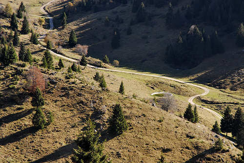 Valle delle Foglie, Colli Vecchi, Cima Grappa