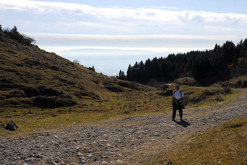 Valle delle Foglie, Colli Vecchi, Cima Grappa