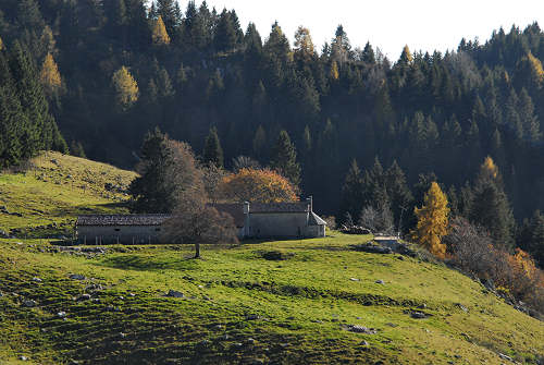 Valle delle Foglie, Colli Vecchi, Cima Grappa