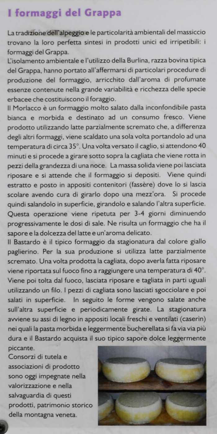 Malga Il Piz, Alano di Piave, Cima della Mandria