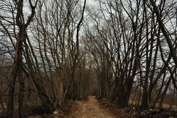 sentiero da Cassanego di Borso al Santuario Madonna del Covolo di Crespano