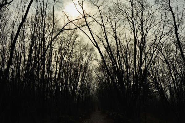 sentiero da Cassanego di Borso al Santuario Madonna del Covolo di Crespano