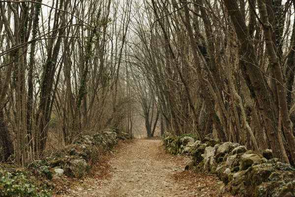 sentiero da Cassanego di Borso al Santuario Madonna del Covolo di Crespano
