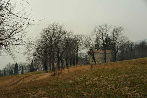 sentiero Piere Rosse, Covolo, Vivai Astego a Crespano