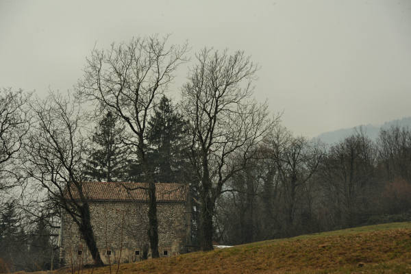 sentiero Piere Rosse, Covolo, Vivai Astego a Crespano