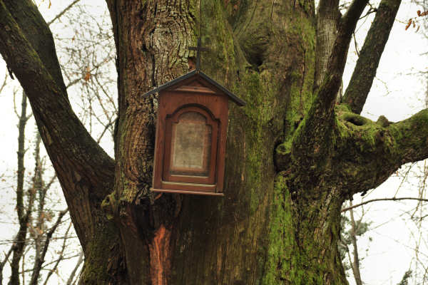 sentiero Piere Rosse, Covolo, Vivai Astego a Crespano