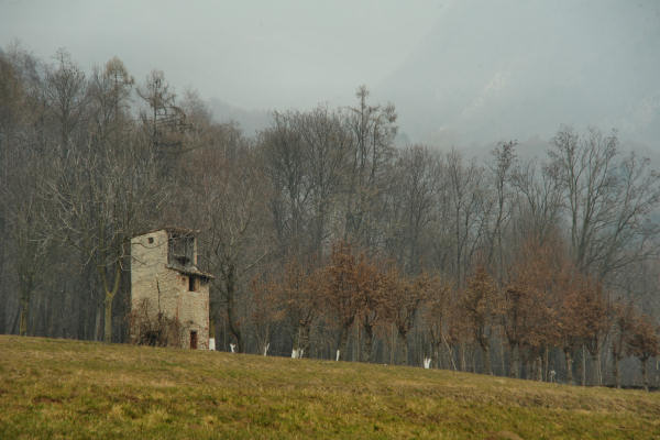 sentiero Piere Rosse, Covolo, Vivai Astego a Crespano