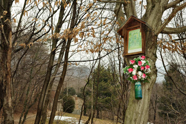 sentiero Piere Rosse, Covolo, Vivai Astego a Crespano