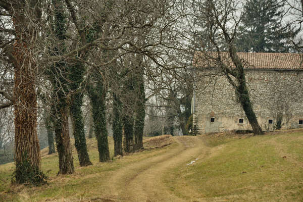 sentiero Piere Rosse, Covolo, Vivai Astego a Crespano
