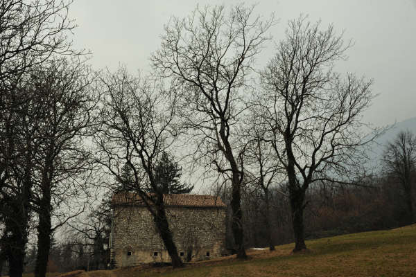 sentiero Piere Rosse, Covolo, Vivai Astego a Crespano