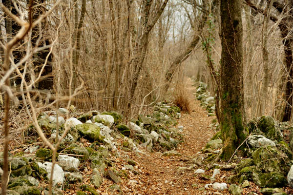 sentiero dal Santuario del Covolo a Cassanego di Borso