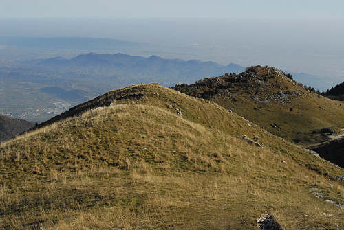 da Madonna del Covolo a Cima Grappa, mulattiera del Covolo - Crespano del Grappa