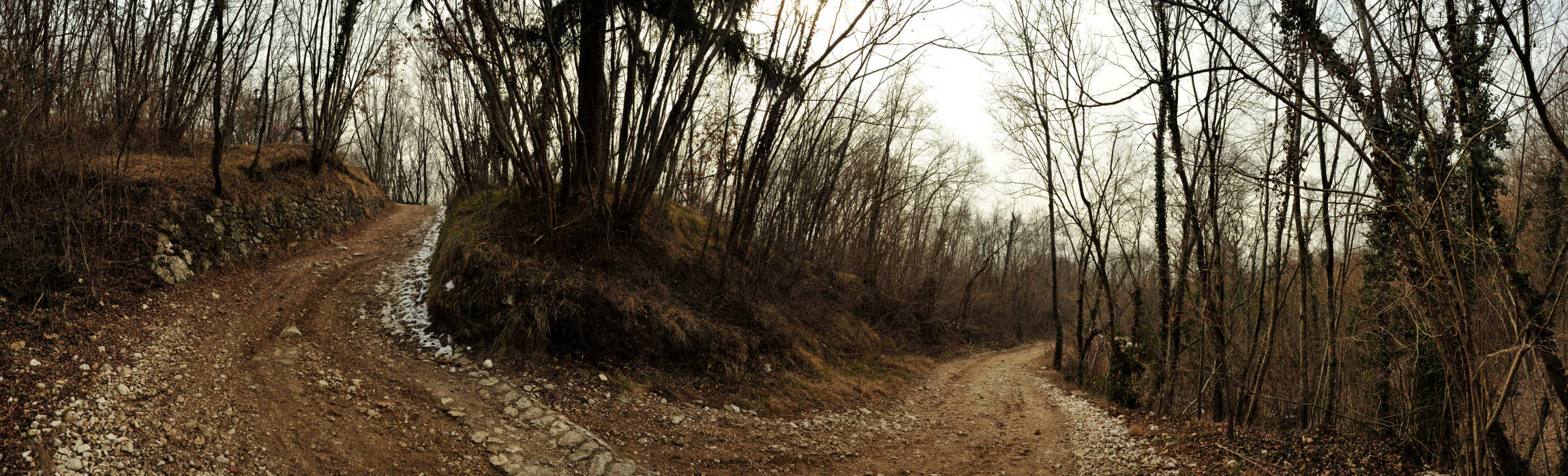Cassanego di Borso del Grappa - fotografia panoramica