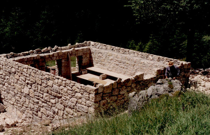 sfojarol di malga Valpore - valle di Seren del Grappa