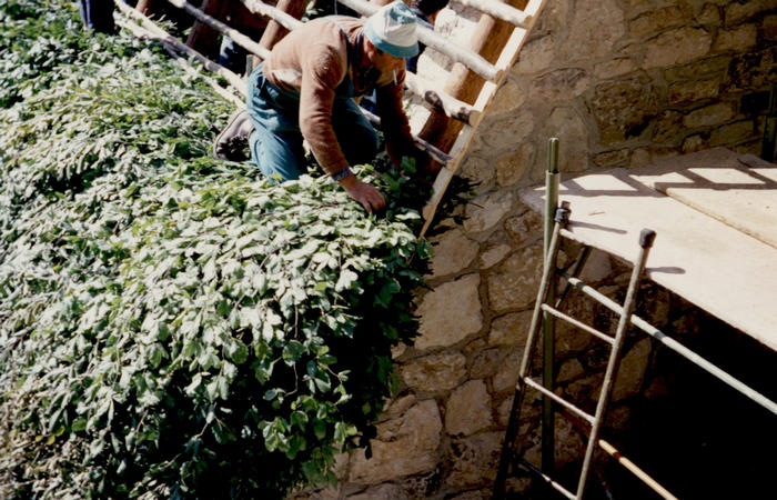 sfojarol di malga Valpore - valle di Seren del Grappa