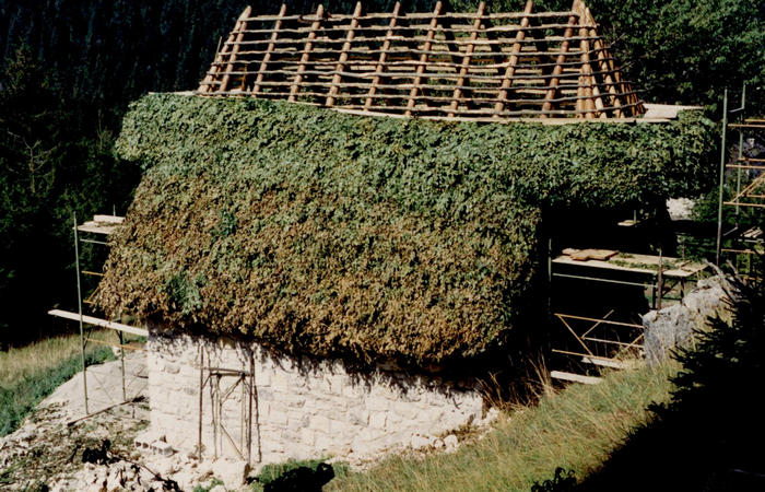 sfojarol di malga Valpore - valle di Seren del Grappa