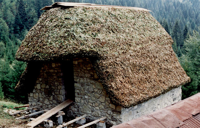 sfojarol di malga Valpore - valle di Seren del Grappa