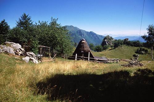 fojarol in val Dumela