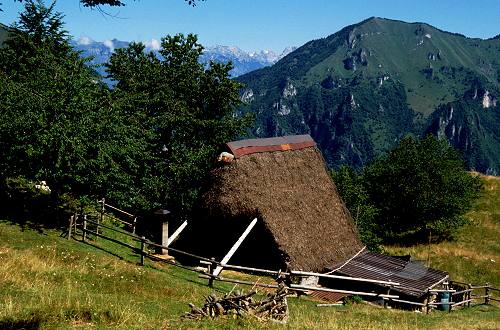 fojarol in val Dumela