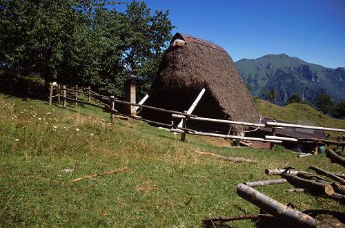 fojarol in val Dumela