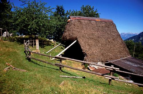 fojarol in val Dumela