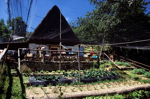 fojarol in val Dumela
