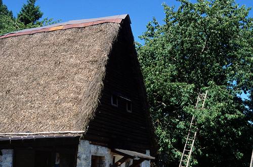 fojarol in val Dumela