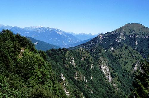 fojarol in val Dumela