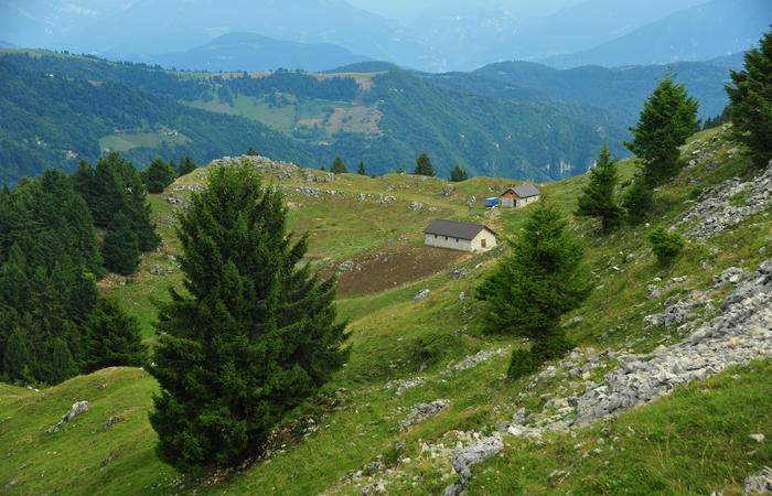 escursione dorsale CimaGrappa-Solaroli / Croce dei Lebi Col dell'Orso Salarolo Valderoa Fontanasecca Val delle Mure Cason del Sole Pian di Bala Val Vecia