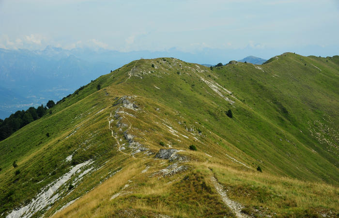 escursione dorsale CimaGrappa-Solaroli / Croce dei Lebi Col dell'Orso Salarolo Valderoa Fontanasecca Val delle Mure Cason del Sole Pian di Bala Val Vecia