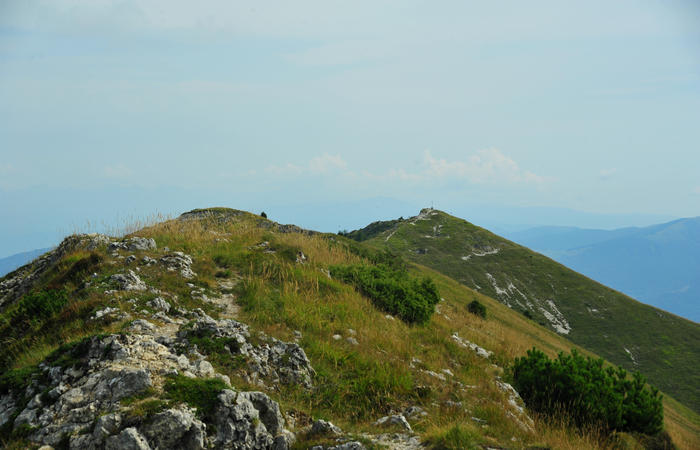 escursione dorsale CimaGrappa-Solaroli / Croce dei Lebi Col dell'Orso Salarolo Valderoa Fontanasecca Val delle Mure Cason del Sole Pian di Bala Val Vecia