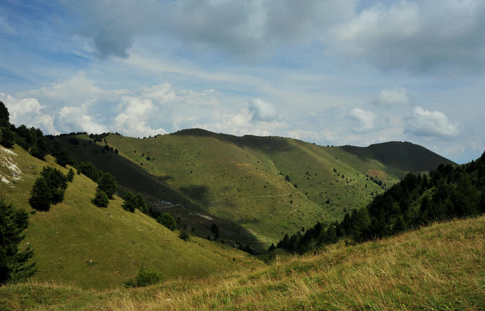 escursione dorsale CimaGrappa-Solaroli / Croce dei Lebi Col dell'Orso Salarolo Valderoa Fontanasecca Val delle Mure Cason del Sole Pian di Bala Val Vecia
