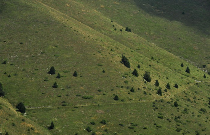 escursione dorsale CimaGrappa-Solaroli / Croce dei Lebi Col dell'Orso Salarolo Valderoa Fontanasecca Val delle Mure Cason del Sole Pian di Bala Val Vecia