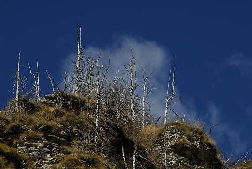 mulattiera del Boccaor, Archeson, Meatte, Val delle Mure, Valle San Liberale - Monte Grappa