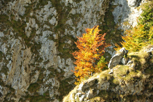 mulattiera del Boccaor, Archeson, Meatte, Val delle Mure, Valle San Liberale