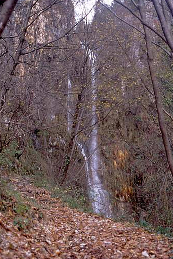 cascata di Valle Santa Felicita, Romano Alto Romano d'Ezzelino
