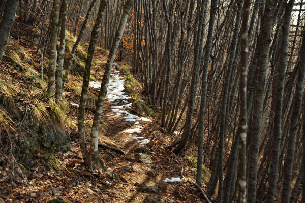 Valle Santa Felicita, Romano Alto Romano d'Ezzelino
