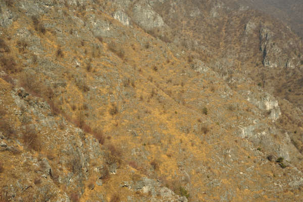 Valle Santa Felicita, Romano Alto Romano d'Ezzelino