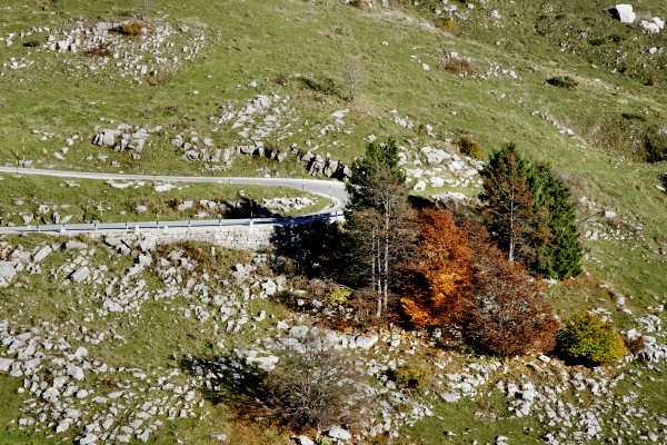 bdc mtb - ciclismo cicloturismo mountain bike nel monte Grappa