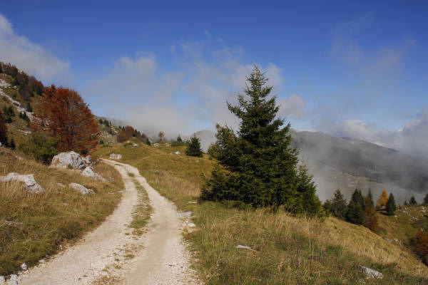 bdc mtb - ciclismo cicloturismo mountain bike nel monte Grappa
