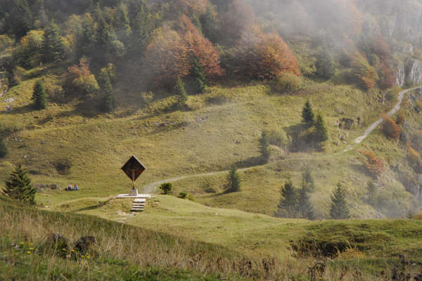 bdc mtb - ciclismo cicloturismo mountain bike nel monte Grappa