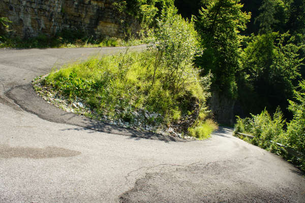 salita Cismon Corlo Col dei Prai Forcelletto Cima Grappa