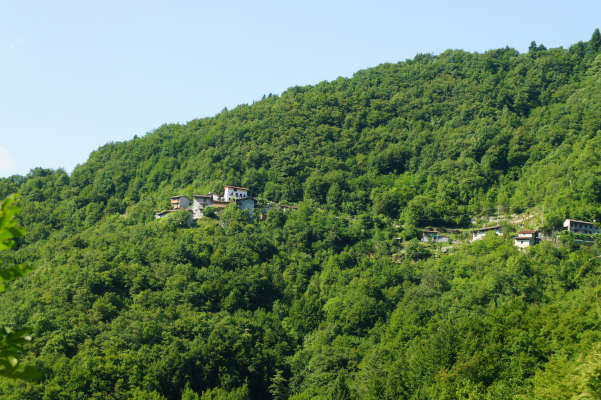 salita Cismon Corlo Col dei Prai Forcelletto Cima Grappa