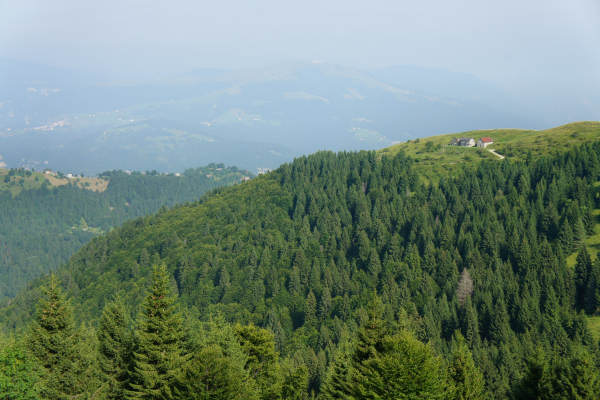 salita Cismon Corlo Col dei Prai Forcelletto Cima Grappa