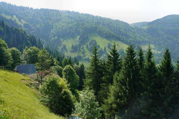 salita Cismon Corlo Col dei Prai Forcelletto Cima Grappa