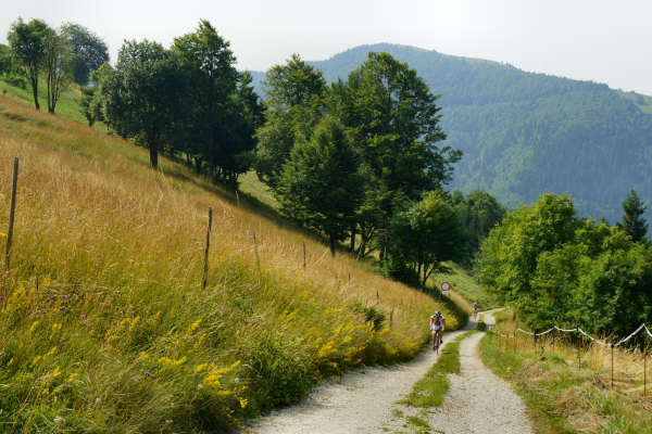 salita Cismon Corlo Col dei Prai Forcelletto Cima Grappa