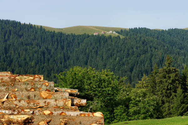 Val Cesilla alta Valle del Termine, Asolone