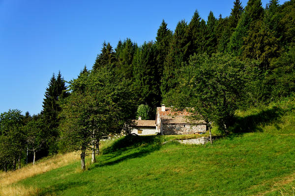 CampoCroce, Val Poise, Colli Vecchi, Monte Oro