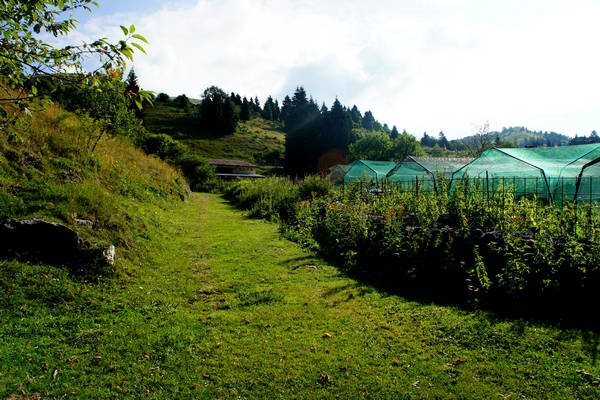 CampoCroce, Val Poise, Colli Vecchi, Monte Oro