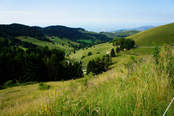 CampoCroce, Val Poise, Colli Vecchi, Monte Oro